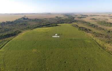 Imagem 7: Fazenda à venda em Dourados/MS beira do asfalto
