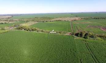 Imagem: Área Rural à Venda no Distrito de Carumbé