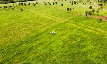 Imagem 7: FAZENDA À VENDA EM RIBAS DO RIO PARDO MS