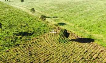 Imagem: FAZENDA À VENDA EM RIBAS DO RIO PARDO MS