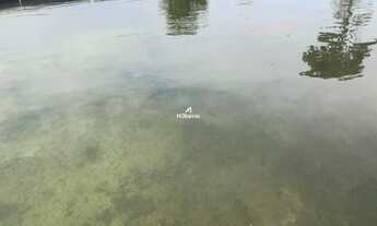 Imagem 3: FAZENDA À VENDA EM RIBAS DO RIO PARDO MS