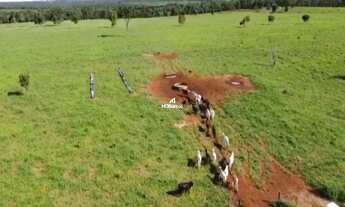 Imagem 2: FAZENDA À VENDA EM RIBAS DO RIO PARDO MS