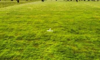 Imagem 6: FAZENDA À VENDA EM RIBAS DO RIO PARDO MS