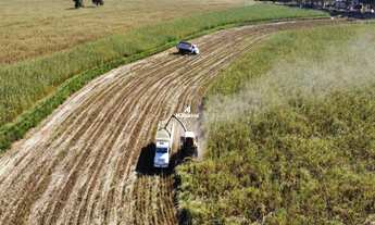 Imagem 4: FAZENDA À VENDA EM RIBAS DO RIO PARDO MS