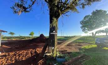 Imagem 7: Área de agricultura no município de Caarapó