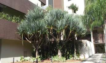 Imagem 2: APARTAMENTO COM 92 METROS, 03 DORMITÓRIOS SENDO 01 SUÍTE E 02 VAGAS