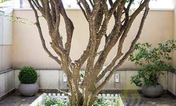 Imagem 4: Linda Casa Residencial ou Comercial á Venda nas Perdizes!