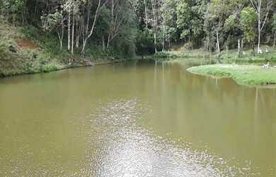 Imagem 7: Sítio San Diego 20 mil mts Localidade: Juquitiba SP, pra frente do bairro dos Barnabés 3