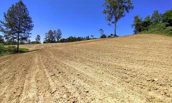 Imagem 5: Sítio à venda em Vítor Meireles/SC
