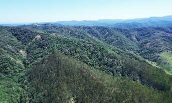 Imagem 5: Terreno rural 73.3 hectares - Rio do Campo/SC