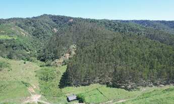 Imagem 4: Terreno rural 73.3 hectares - Rio do Campo/SC