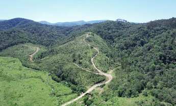 Imagem 2: Terreno rural 73.3 hectares - Rio do Campo/SC