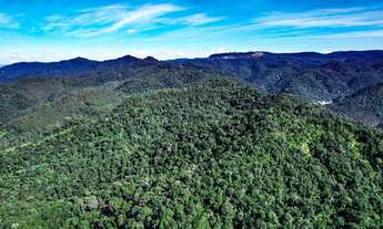 Imagem 7: FAZENDA REFLORESTAMENTO em RIO DO CAMPO - SC, Ribeirão Carneiro