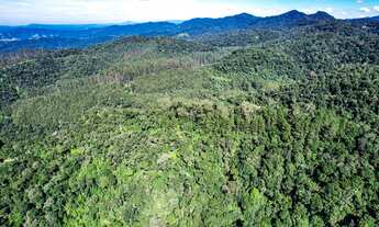 Imagem 5: FAZENDA REFLORESTAMENTO em RIO DO CAMPO - SC, Ribeirão Carneiro