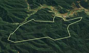 Imagem 4: FAZENDA REFLORESTAMENTO em RIO DO CAMPO - SC, Ribeirão Carneiro