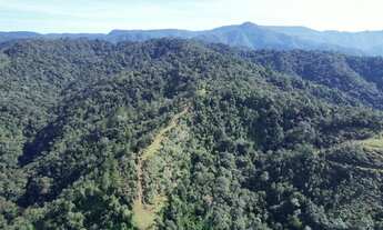 Imagem 3: FAZENDA REFLORESTAMENTO em RIO DO CAMPO - SC, Ribeirão Carneiro