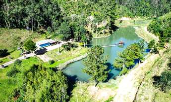 Imagem: FAZENDA REFLORESTAMENTO em RIO DO CAMPO
