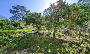 Imagem 4: SITIO RURAL em PRESIDENTE NEREU - SC, Barra Rio Antinha