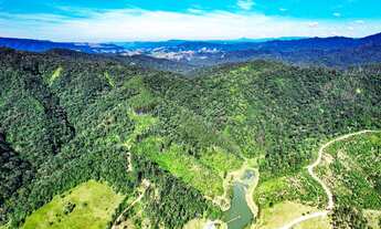 Imagem 2: FAZENDA REFLORESTAMENTO em RIO DO CAMPO - SC, Ribeirão Carneiro