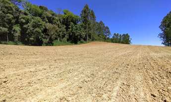 Imagem 7: Sítio à venda em Vítor Meireles/SC