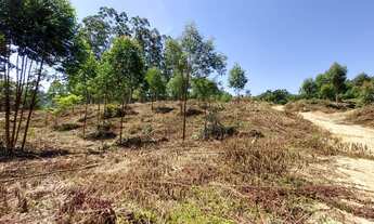 Imagem: Terreno à venda em Fundos Aurora - Aurora/SC