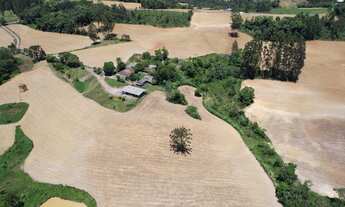 Imagem 2: Sítio à venda em Vítor Meireles/SC