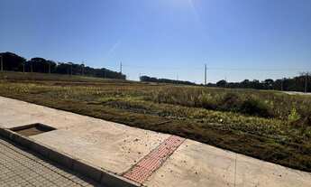 Imagem 3: Ótimo lote no Loteamento Piçarras Park!