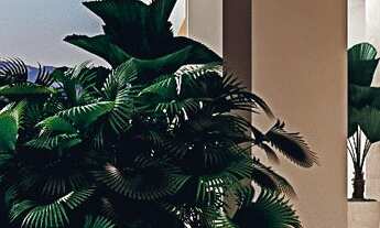 Imagem 7: Apto Frente Mar Summer Home Club em Baln. Piçarras-SC