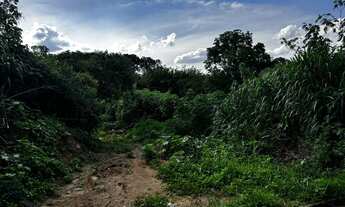 Imagem: 2950M² de Área Total