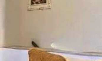 Imagem: SOBRADO - 157m² - MOOCA