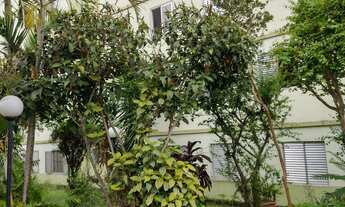 Imagem: Apartamento para venda com dois quartos