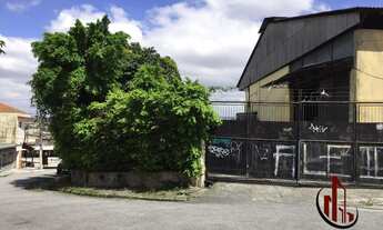 Imagem: Galpão Industrial de 1500 metros Vila Mesquita!