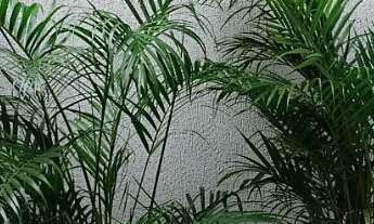 Imagem 2: Lindo Sobrado Frontal diferenciado na Vila Marieta - Penha!!!