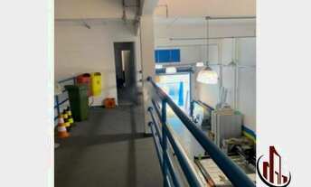 Imagem 5: Galpão industeial para venda!