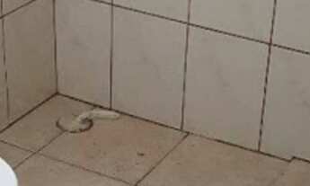 Imagem 6: Galpão para venda no Jardim Vila Formosa!