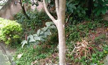 Imagem 4: Terreno 270 metros na Vila Formosa!