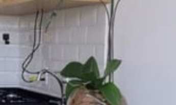 Imagem 4: APARTAMENTO RESIDENCIAL em São Paulo - SP, Barra Funda