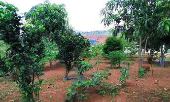 Imagem: Chácara em Rio Manso, Souza, Vida Nova