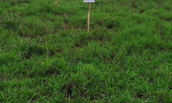 Imagem 5: Terreno em São Joaquim de Bicas - MG, N. São da Paz