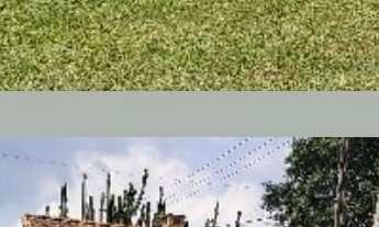 Imagem: Casa a venda em Guapimirim com 3 quartos