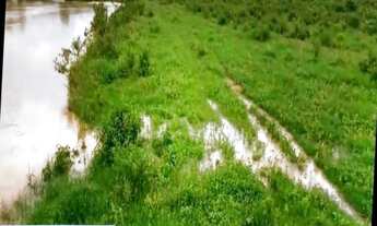 Imagem 4: Fazenda 62,5 alqs., para engorda, na divida do Espirito Santo, pasto angola