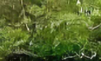 Imagem: Chacara/Sitio em Caxeta, ao lado do primeiro