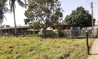 Imagem: Fazenda em zona urbana do Distrito de Dores