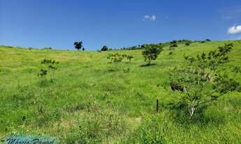 Imagem: Fazenda a venda, 127 alqueires, criação