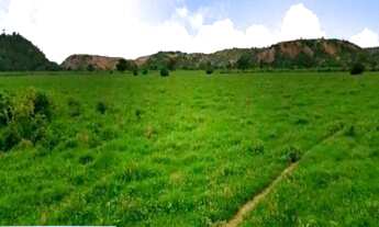 Imagem 6: Fazenda 62,5 alqs., para engorda, na divida do Espirito Santo, pasto angola