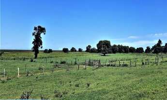 Imagem: Fazenda 74 alqueires / gado, Dores de Macabu