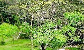 Imagem 5: Vendo sitio chácara, à 30 minutos do centro de Campos, lugar com vista linda!!!