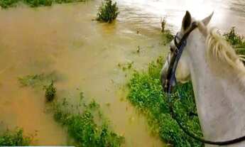 Imagem 2: Fazenda 62,5 alqs., para engorda, na divida do Espirito Santo, pasto angola