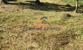 Imagem 2: Adriano Carpes Imóveis vende terreno com 24 mil metros em Blumenau/SC