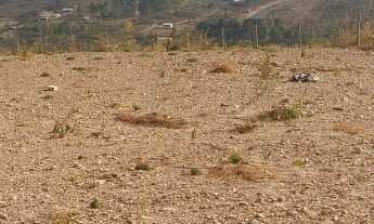 Imagem: Águas Quentes Samambaia Terreno 1000m²